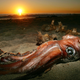 Illustration for article titled Terrifying Giant Squid Caught on Film in the North Pacific
